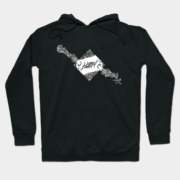 Fight Fire with Fire B&W Hoodie by Daezugal